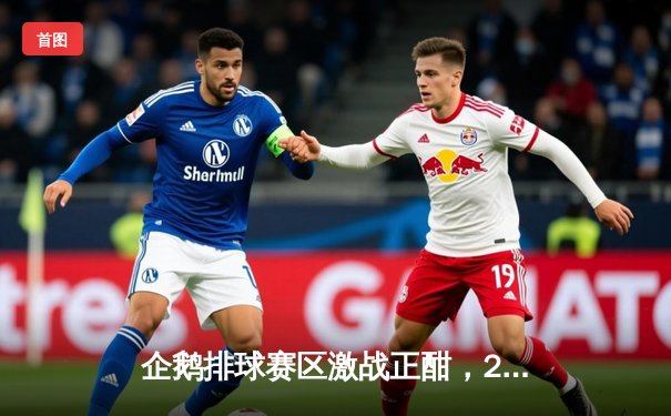 企鹅排球赛区激战正酣，2025年直播将覆盖全球顶级联赛